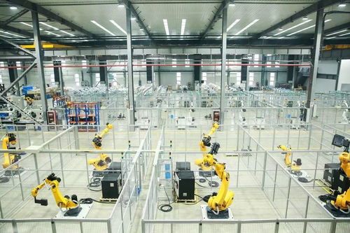 重慶市2020年基本建成國家重要的智能產業基地——人工智能基礎軟件開發的崛起與展望